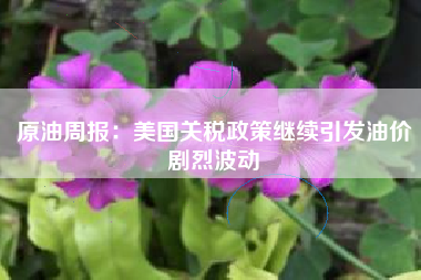 原油周报：美国关税政策继续引发油价剧烈波动