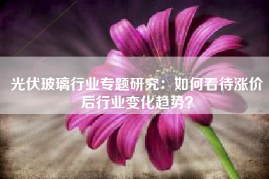 光伏玻璃行业专题研究：如何看待涨价后行业变化趋势？