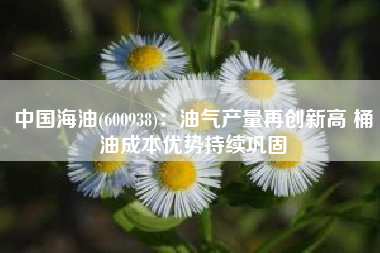 中国海油(600938)：油气产量再创新高 桶油成本优势持续巩固