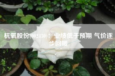 杭氧股份(002430)：业绩低于预期 气价逐步回暖