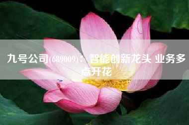 九号公司(689009)：智能创新龙头 业务多点开花