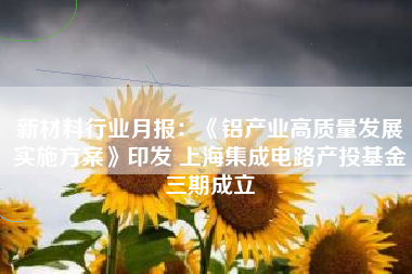 新材料行业月报：《铝产业高质量发展实施方案》印发 上海集成电路产投基金三期成立