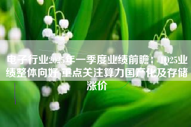 电子行业2025年一季度业绩前瞻：1Q25业绩整体向好 重点关注算力国产化及存储涨价