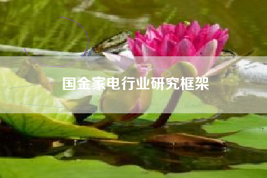 国金家电行业研究框架