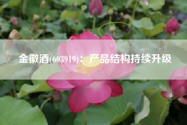 金徽酒(603919)：产品结构持续升级