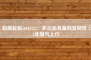 招商轮船(601872)：多元业务盈利显韧性 25年景气上行