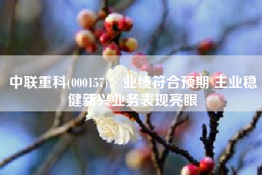 中联重科(000157)：业绩符合预期 主业稳健新兴业务表现亮眼