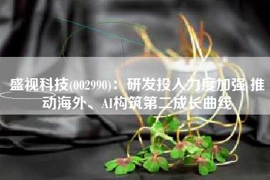 盛视科技(002990)：研发投入力度加强 推动海外、AI构筑第二成长曲线