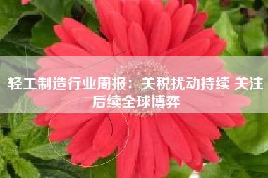 轻工制造行业周报：关税扰动持续 关注后续全球博弈