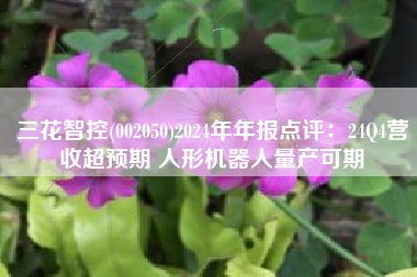 三花智控(002050)2024年年报点评：24Q4营收超预期 人形机器人量产可期