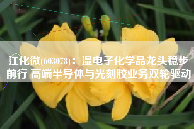 江化微(603078)：湿电子化学品龙头稳步前行 高端半导体与光刻胶业务双轮驱动