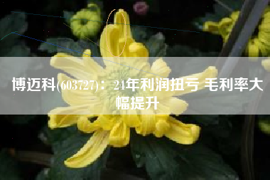 博迈科(603727)：24年利润扭亏 毛利率大幅提升