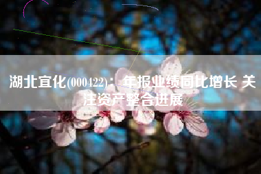 湖北宜化(000422)：年报业绩同比增长 关注资产整合进展