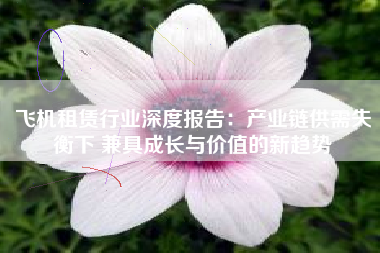 飞机租赁行业深度报告：产业链供需失衡下 兼具成长与价值的新趋势