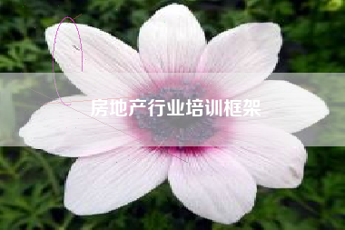 房地产行业培训框架