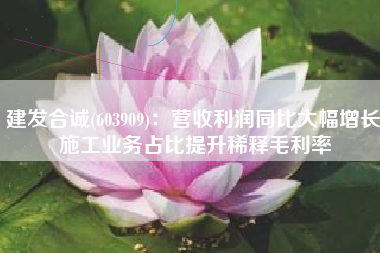 建发合诚(603909)：营收利润同比大幅增长 施工业务占比提升稀释毛利率