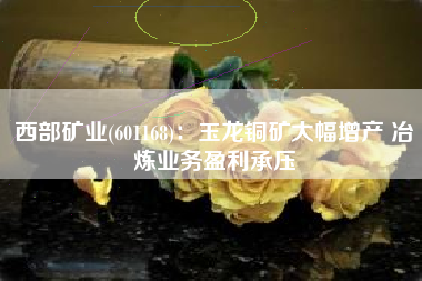 西部矿业(601168)：玉龙铜矿大幅增产 冶炼业务盈利承压