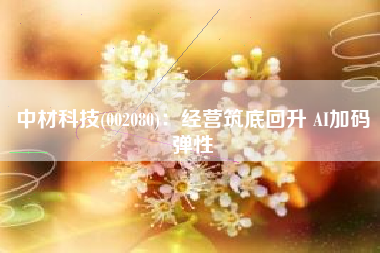 中材科技(002080)：经营筑底回升 AI加码弹性