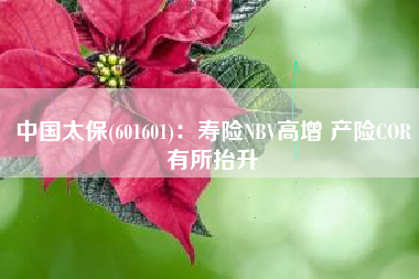 中国太保(601601)：寿险NBV高增 产险COR有所抬升