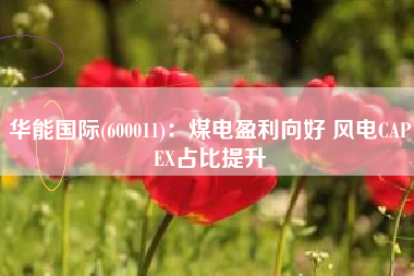 华能国际(600011)：煤电盈利向好 风电CAPEX占比提升