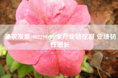圣农发展(002299)：全产业链挖潜 业绩韧性增长