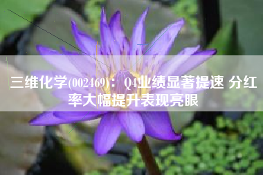 三维化学(002469)：Q4业绩显著提速 分红率大幅提升表现亮眼