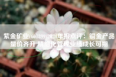 紫金矿业(601899)2024年报点评：铜金产品量价齐升 精细化管理业绩成长可期