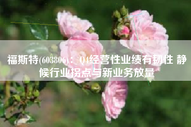 福斯特(603806)：Q4经营性业绩有韧性 静候行业拐点与新业务放量