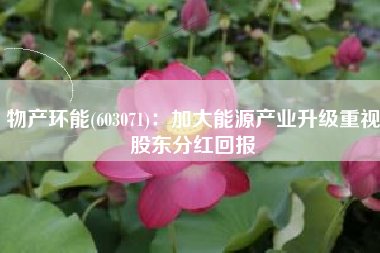 物产环能(603071)：加大能源产业升级重视股东分红回报