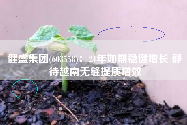 健盛集团(603558)：24年如期稳健增长 静待越南无缝提质增效