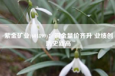 紫金矿业(601899)：铜金量价齐升 业绩创历史新高