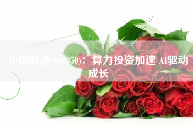 中国联通(600050)：算力投资加速 AI驱动成长