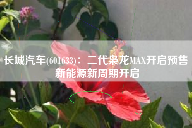 长城汽车(601633)：二代枭龙MAX开启预售 新能源新周期开启