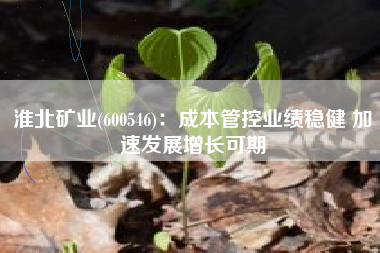 淮北矿业(600546)：成本管控业绩稳健 加速发展增长可期