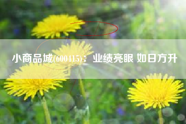 小商品城(600415)：业绩亮眼 如日方升