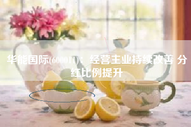 华能国际(600011)：经营主业持续改善 分红比例提升