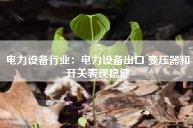 电力设备行业：电力设备出口 变压器和开关表现稳健
