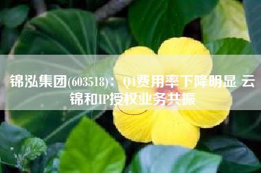 锦泓集团(603518)：Q4费用率下降明显 云锦和IP授权业务共振