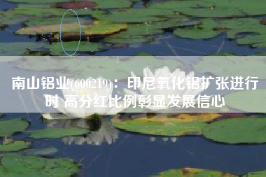 南山铝业(600219):印尼氧化铝扩张进行时 高分红比例彰显发展信心 南山铝业(600219):印尼氧化铝扩张进行时 高分红比例彰显发展信心