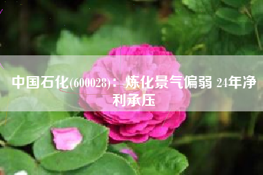 中国石化(600028)：炼化景气偏弱 24年净利承压