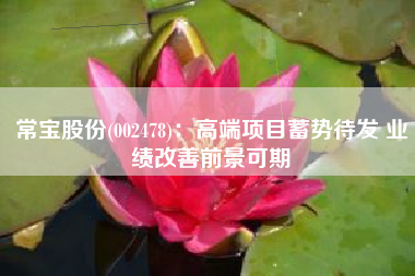 常宝股份(002478)：高端项目蓄势待发 业绩改善前景可期
