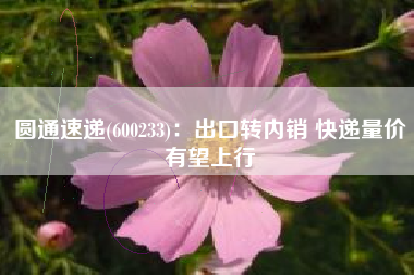 圆通速递(600233)：出口转内销 快递量价有望上行