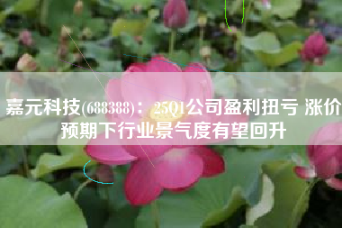 嘉元科技(688388)：25Q1公司盈利扭亏 涨价预期下行业景气度有望回升