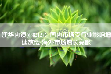 澳华内镜(688212)：国内市场受行业影响增速放缓 海外市场增长亮眼