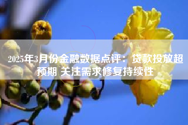2025年3月份金融数据点评：贷款投放超预期 关注需求修复持续性