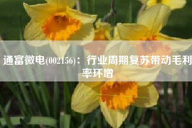 通富微电(002156)：行业周期复苏带动毛利率环增