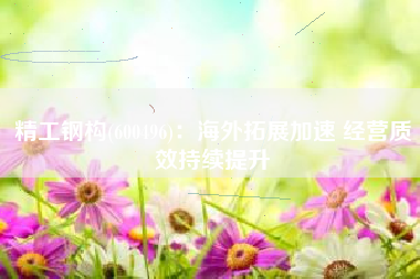 精工钢构(600496)：海外拓展加速 经营质效持续提升