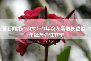萤石网络(688475)：24年收入端增长稳健 25年经营弹性有望