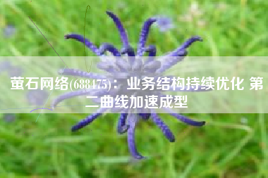 萤石网络(688475)：业务结构持续优化 第二曲线加速成型