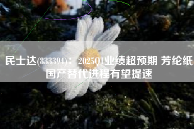民士达(833394)：2025Q1业绩超预期 芳纶纸国产替代进程有望提速